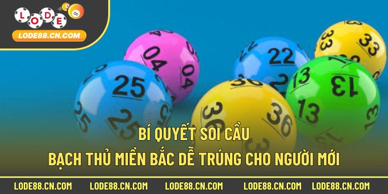 Bí quyết soi cầu bạch thủ miền bắc dễ trúng cho người mới