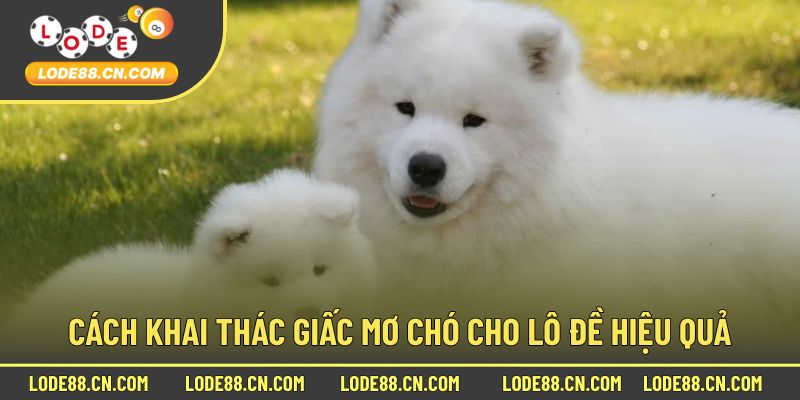 Cách khai thác giấc mơ chó cho lô đề hiệu quả