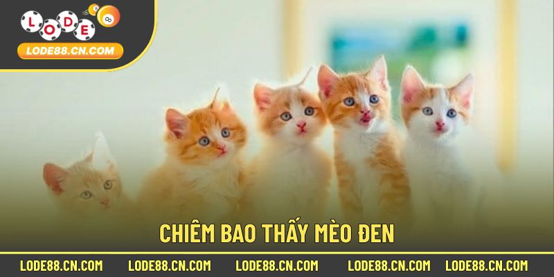 Chiêm bao thấy mèo đen