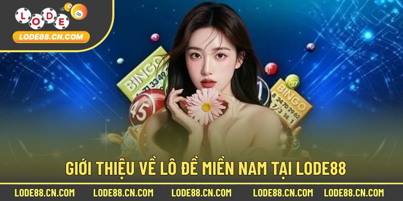 Giới Thiệu Cơ Bản Thông Tin Cược Lô Miền Nam